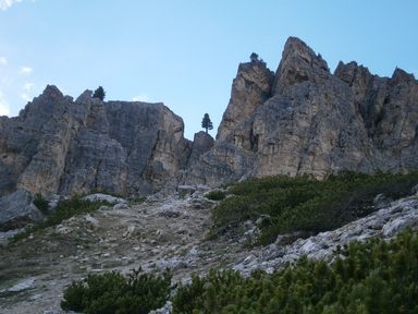 Pale di Misurina e i suoi abitanti (da Sud-Est)